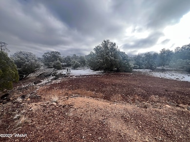 1847 Rocky Bottom Place, Show Low, AZ 85901 - photo 2