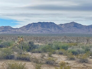 2100 S Lone Ranger Rd, Yucca, AZ 86438 - photo 4