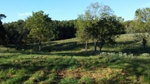 0 Karen St, Harrison, AR 72601 - photo 2