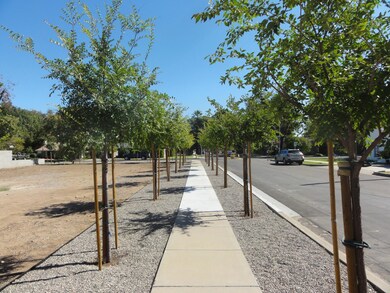 Maple Lot 049