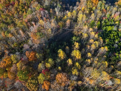 0 Rock Springs Rd unit RTC3049749, Celina, TN 38551 - photo 3