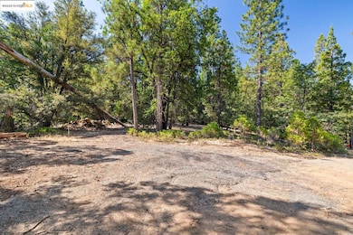 unlisted-address, Twain Harte, CA 95383 - photo 5