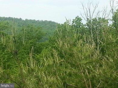 0 Lions Ln unit 1003532114, Boyce, VA 22620 - photo 5