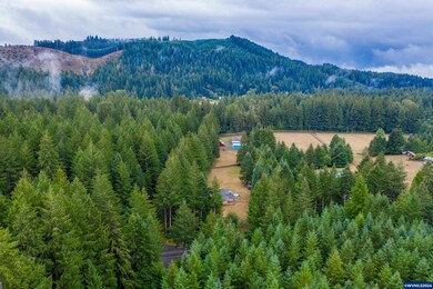 39691 Mohawk Loop Rd, Marcola, OR 97454 - photo 4