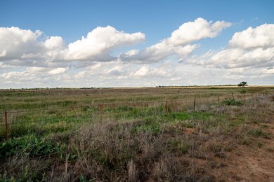 View of undeveloped land featuring rural landscape