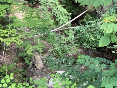 Western border follows a stream.