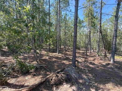 KF 4 State Road S-28-354 unit KF 4, Kershaw, SC 29067 - photo 7