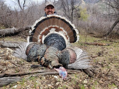 0 Tbd Highway 13 unit 25806397, Rifle, CO 81650 - photo 7