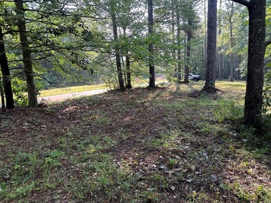 000 Perrott Rd, McComb, MS 39648 - photo 6