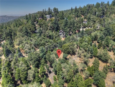 0 Pine unit IG25156077, Twin Peaks, CA 92391 - photo 4