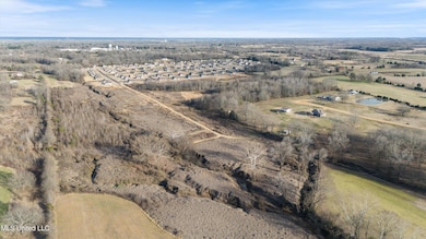 0 Summer Ln unit 4133637, Senatobia, MS 38668 - photo 6