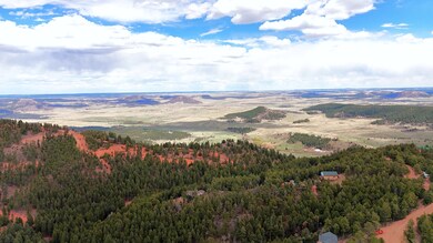 13511 S Firedog Way, Larkspur, CO 80118 - photo 5