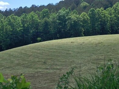 6159 Highway 1675, Somerset, KY 42501 - photo 4