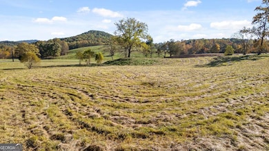 Lot 14 Bravo Way, Talking Rock, GA 30175 - photo 3