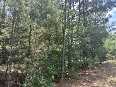 0 Victory School Rd, Avinger, TX 75630 - photo 3