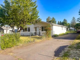 Shasta-02