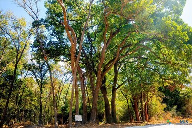 12338 Red Hill Rd, Hearne, TX 77859 - photo 2