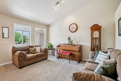 Carpeted living area featuring lofted ceiling and a textured ceiling