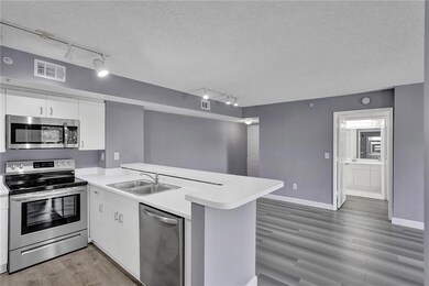Kitchen/Isle/Dining Area