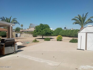4240 Back yard 9