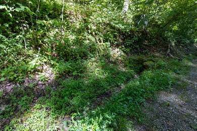 Lot 10 S Cliff Rd, Cullowhee, NC 28723 - photo 4