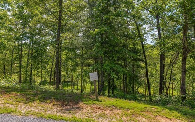 Additional View
