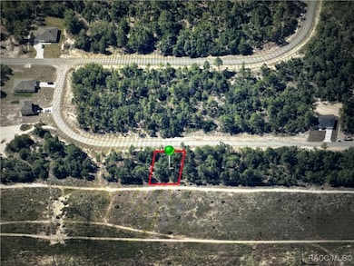 6866 N Sandborn Loop, Citrus Springs, FL 34433 - photo 4