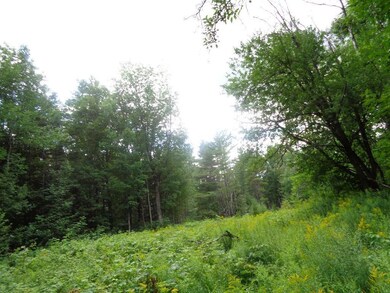 Land/Lot