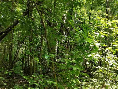 Wooded lake access lot.