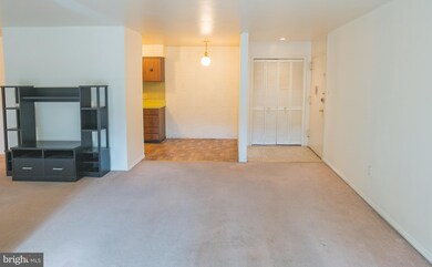 2305 Greenery Ln unit 1013, Silver Spring, MD 20906 - photo 6