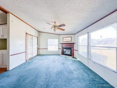 1385 Alabama 54, Kinston, AL 36453 - photo 7