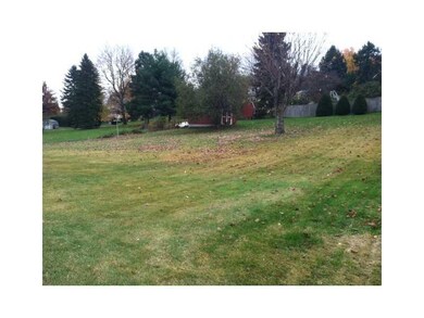 Yard/Garden.