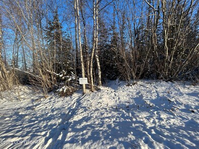 6471 S Viewport Way, Wasilla, AK 99654 - photo 5