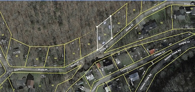 0 Loftis Gap Rd unit RTC3047802, Smithville, TN 37166 - photo 5