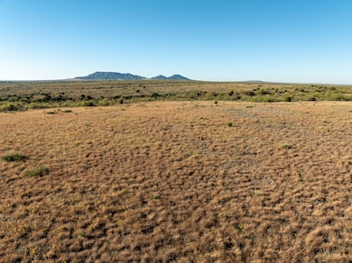 4824 Cr 434, Peacock, TX 79502 - photo 5