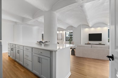 Fulton House unit 608, Chicago, IL 60606 - photo 7