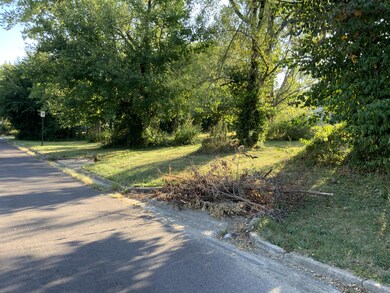 3 3 curb-cuts on Dougle Lot