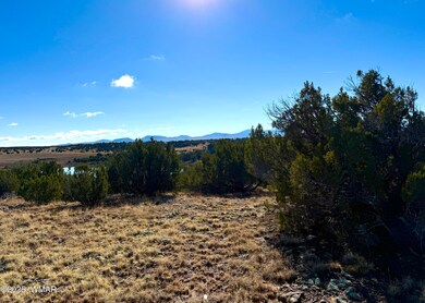 0 Cr 8637 Lot #210, Concho, AZ 85924 - photo 6