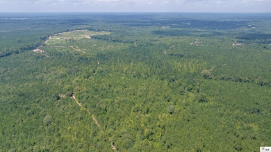 0 Guyton Swamp Rd, Calhoun, LA 71225 - photo 2