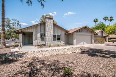 Pecan Cir-3