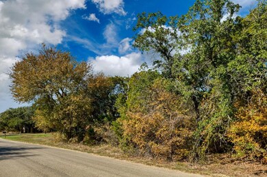 13 Lake Country Dr, Granbury, TX 76049 - photo 3