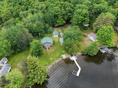 AERIAL