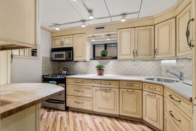 17 Healey St unit 103, Cambridge, MA 02138 - photo 4