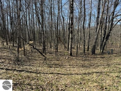 0 Ticino Dr unit 353 1932968, Reed City, MI 49677 - photo 4