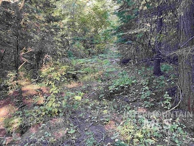 View of wooded area
