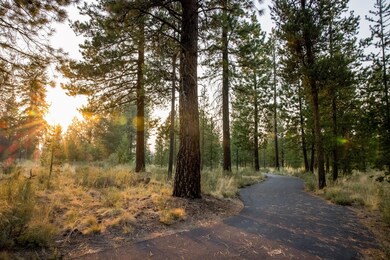 Bike Path through the Woods