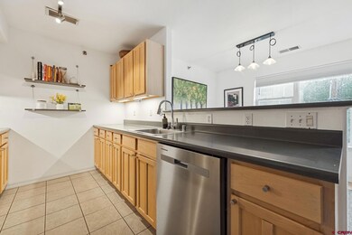 765 E College Dr unit 5, Durango, CO 81301 - photo 6