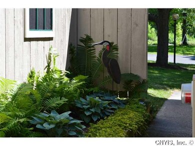 Garden. Entrance from street to court yard. Beauti