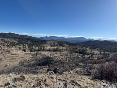 0 F Path and 37th Trail, Cotopaxi, CO 81223 - photo 3