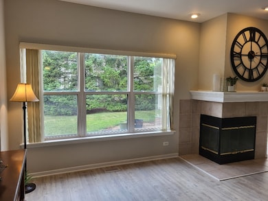 2949 Brossman St, Naperville, IL 60564 - photo 7